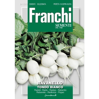 Afbeelding van Radijs, Ravanello Tondo Bianco