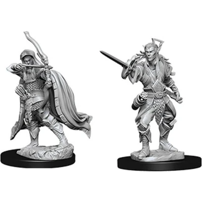 Afbeelding van D&amp;D Miniatures Male Elf Rogue