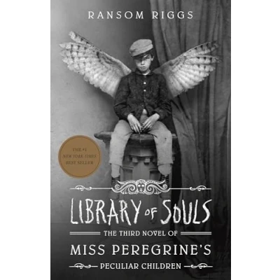 Afbeelding van Library of Souls