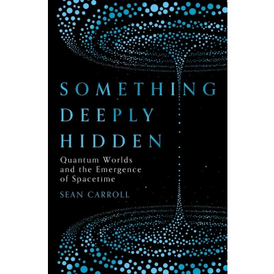 Afbeelding van Something Deeply Hidden: Quantum Worlds and the Emergence of Spacetime