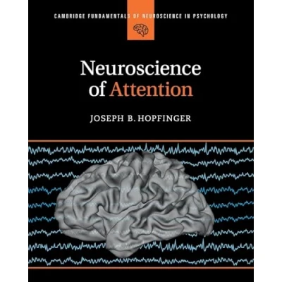 Afbeelding van Cambridge Fundamentals of Neuroscience in Psychology Attention
