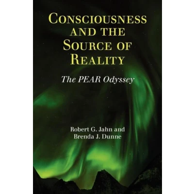 Afbeelding van Consciousness and the Source of Reality