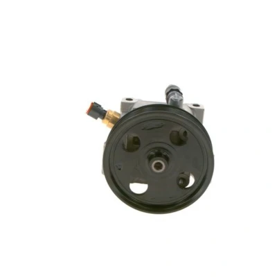 Afbeelding van Bosch Servopomp K S00 000 118