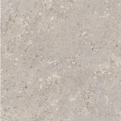 Afbeelding van Michel Oprey keramische tegel Keope 60x120x2 cm Omnia Devix Greige Luxe van 2