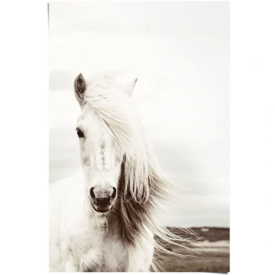Afbeelding van Reinders! Poster wit paard