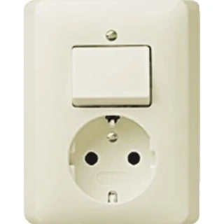 Afbeelding van Gira Standaard 55 combinatie wandcontactdoos randaarde 16A 250V