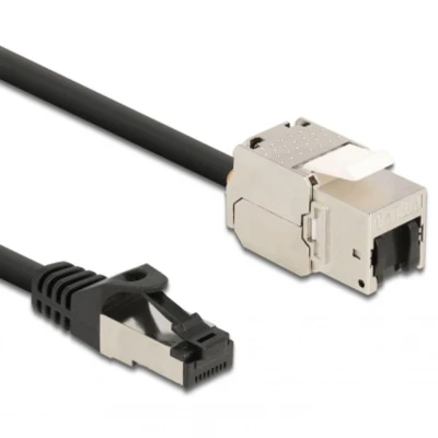Afbeelding van Delock Kabel RJ45 Stecker zu Keystone Modul Buchse Cat.6A 25 cm s