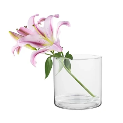 Afbeelding van TREND FOR HOME Decoratie Cilinder Vaas 19 cm Kaarsenhouder voor Bloemen Transparant Glas Bloem Kamer Decoraties Tafel Ø 4848 ml Naida