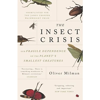 Afbeelding van the insect crisis: our fragile dependence on planet&#039;s smallest creatures