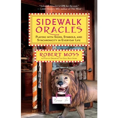 Afbeelding van Sidewalk Oracles: Playing with Signs, Symbols, and Synchronicity in Everyday Life