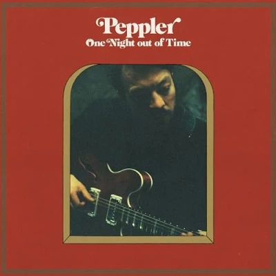 Afbeelding van Peppler One Night Out of Time (LP)