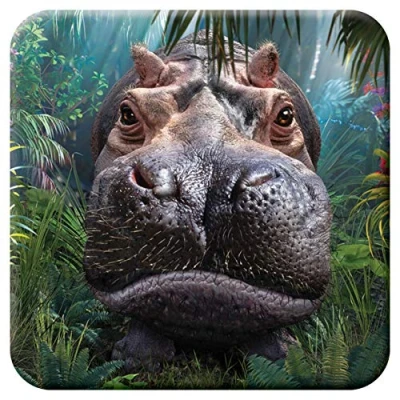 Afbeelding van 3D LiveLife Onderzetter van Kurk Onverwachte Ontmoeting, Deluxebase. Lenticulaire Nijlpaard Onderzetter. Antislip drinkmat met origineel kunstwerk de bekende kunstenaar David Penfound