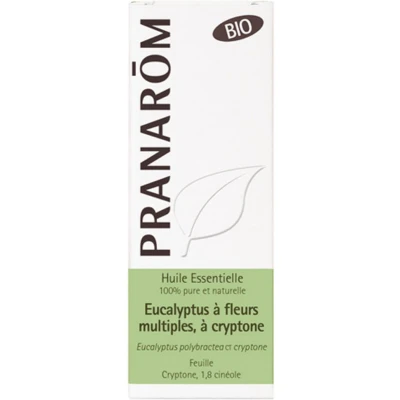 Afbeelding van Pranarôm Gevulde Eucalyptus Etherische Olie met Cryptone (Eucalyptus Polybractea ct Criptone) Bio 10 ml