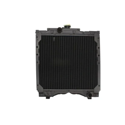 Afbeelding van Thermotec Radiateur D7AG016TT