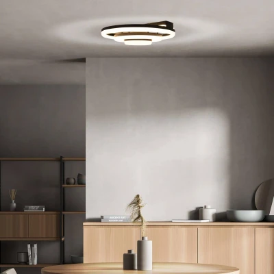 Afbeelding van näve Led plafondlamp Circulo (2 stuks)