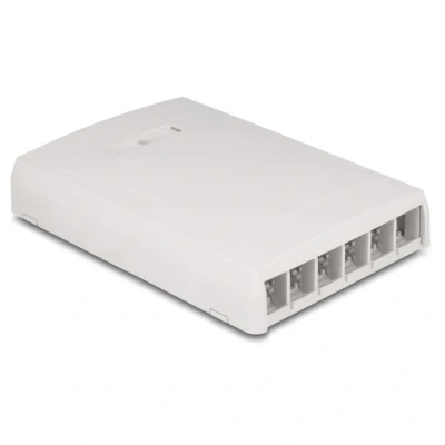 Afbeelding van Delock Keystone Leergehäuse Aufputz 6 Port für Glasfaser und Netzwer