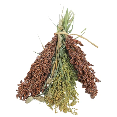 Afbeelding van Jr Farm Pick En Fly Vogelvoer 5 x 13 33 cm 130 g