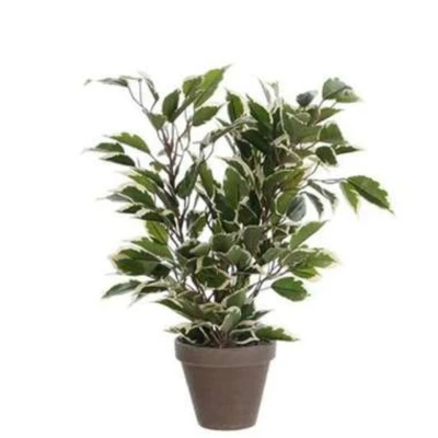 Afbeelding van Ficus Natasja Kunstplant in Bloempot Stan H40 x Ø30 cm Groen Bont