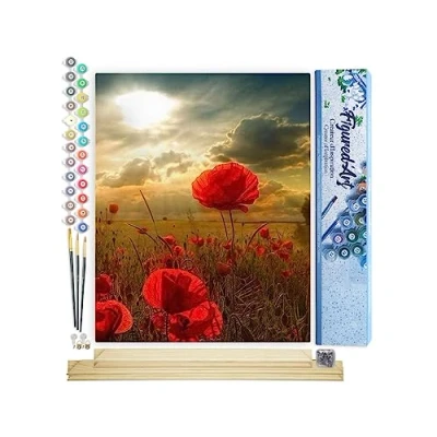 Afbeelding van Figured&#039;Art Schilderen op Nummer Volwassenen canvas Rode bloemen en zonlicht Handwerk acrylverf Kit DIY Compleet 40x50cm met houten lijst