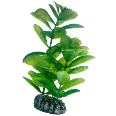 Afbeelding van Hobby Plant Saururus 16CM
