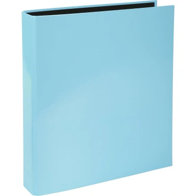 Afbeelding van Exacompta ref. 54568E karton met 10 stevige ordners 2 D ringen 25 mm rug 40 Aquarel Buitenafmetingen: 31,5 x 27 cm Formaat DIN A4 Kleur: pastelblauw