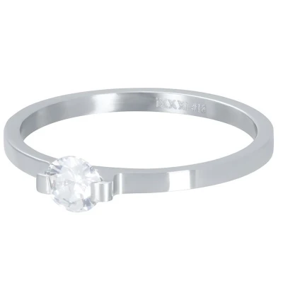 Afbeelding van Mini Glamour Stone iXXXi Vulring 2mm Silver / 18