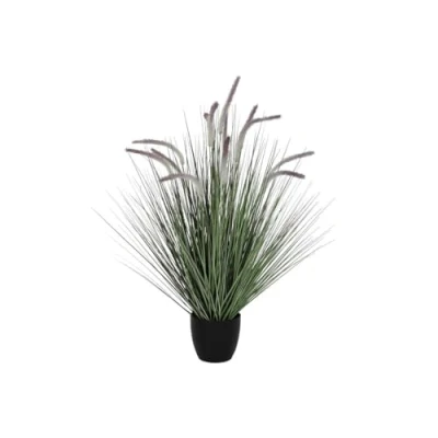 Afbeelding van Decoratieve plant DKD Home Decor Lila (30 x 30 104 cm)