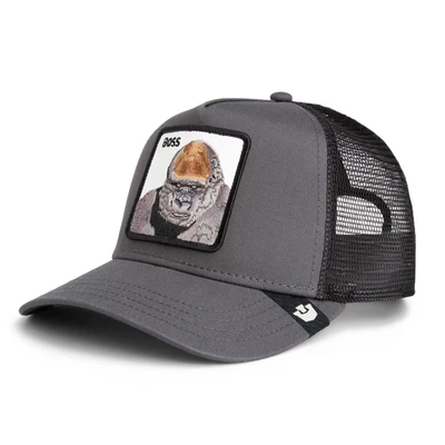 Afbeelding van GOORIN Bros. Pet grijs / gemengde kleuren