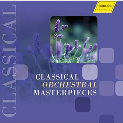 Afbeelding van Various Artists Classical Orchestral Masterpieces (2 CD)