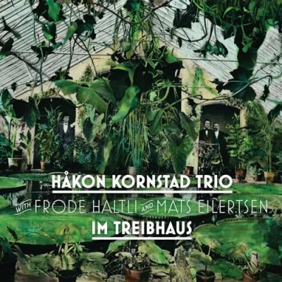 Afbeelding van Im Treibhaus Hakon Kornstad (CD)