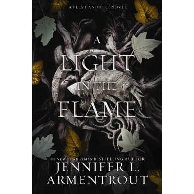 Afbeelding van A Light in the Flame: Flesh and Fire Novel: 2