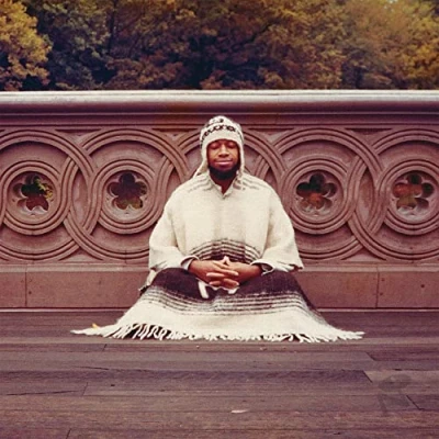 Afbeelding van Laraaji Seque To Infinity (4 LP)