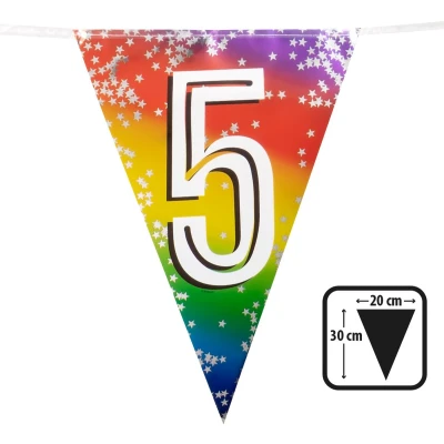 Afbeelding van Vlaggenlijn 5 jaar versiering vlaggetjes slinger 6 meter Vlaggenlijnen