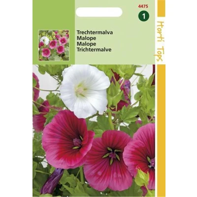 Afbeelding van Malope, Trechtermalva gemengd