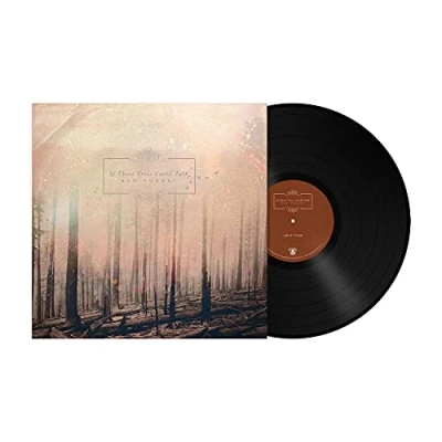 Afbeelding van If These Trees Could Talk Red Forest