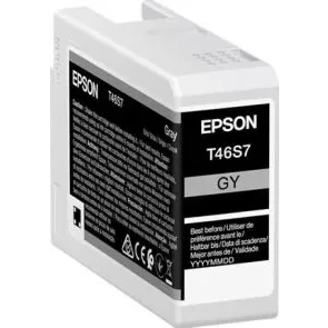 Afbeelding van Epson T46S7 Inktcartridge Grijs