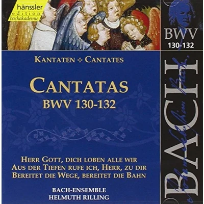 Afbeelding van Bach Ensemble, Helmuth Rilling J.S. Bach: Cantatas Bwv 130 132 (CD)