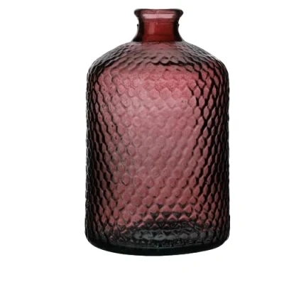 Afbeelding van Natural Living Bloemenvaas Scubs Bottle robijn rood geschubt transparant glas D18 x H31 cm Vazen