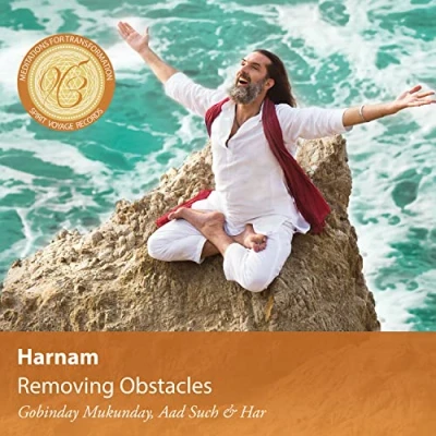 Afbeelding van Harnam Removing Obstacles (CD)