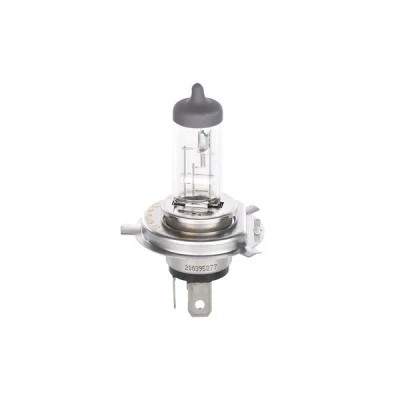 Afbeelding van Bosch Gloeilamp Koplamp H4 12V 60/55W 1 987 302 041