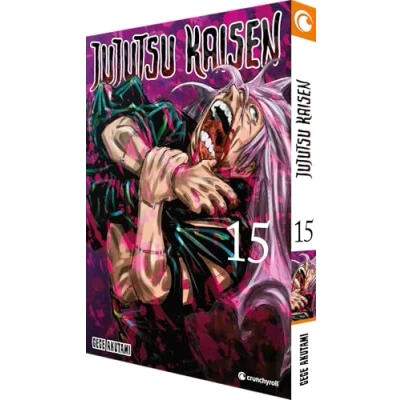 Afbeelding van Jujutsu Kaisen Band 15