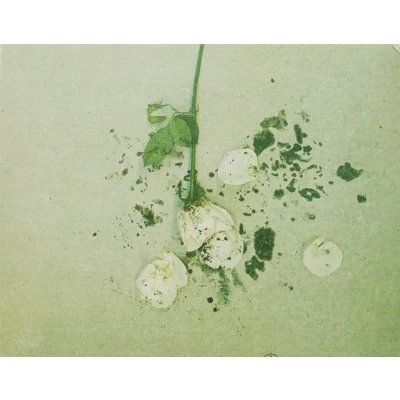 Afbeelding van Everything In Slow Motion Laid Low