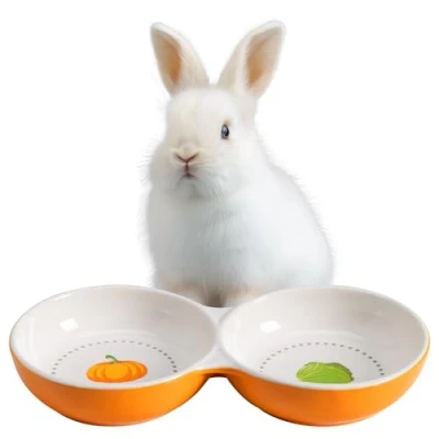 Afbeelding van Navaris dubbele voerbak voor kleine dieren Keramische voerbakjes je muis konijn hamster of cavia Waterschaal Oranje met groentedesign