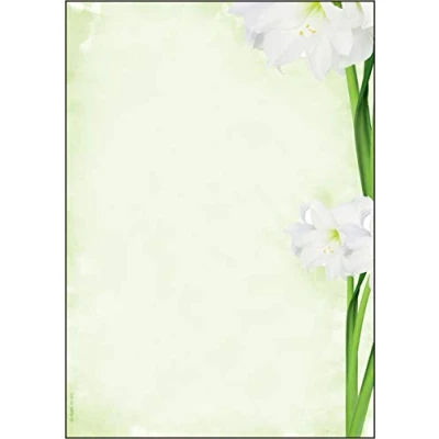 Afbeelding van SIGEL DP463 motiefpapier &quot;Green Flower&quot;, briefpapier 90 g DIN A4, 25 vellen, van duurzaam papier