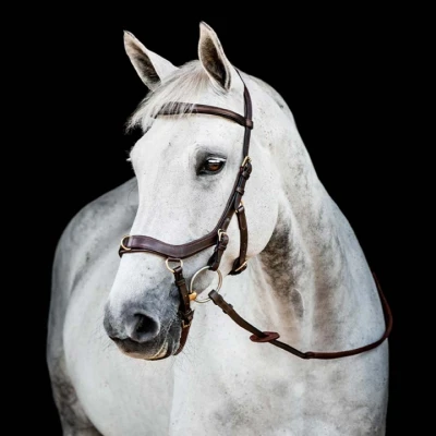 Afbeelding van Rambo Micklem Multi Bridle New Dark Havana Cob