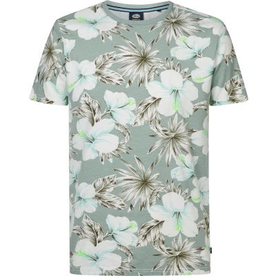 Afbeelding van Petrol Industries Tshirt print, Heren, Maat: Large, Aqua grey