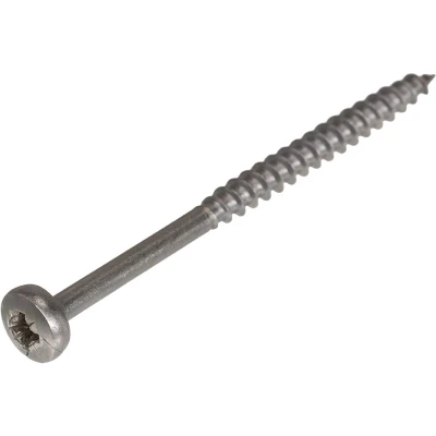 Afbeelding van Spaanplaatschroef RVS 5,0 x 60 mm, kruiskop (200 stuks)