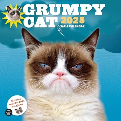 Afbeelding van 2025 Wall Calendar: Grumpy Cat