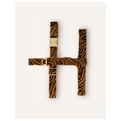 Afbeelding van Dogguo Zebra Harness Hondentuig Xs