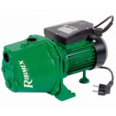 Afbeelding van Ribiland 04201 oppervlaktewaterpomp, 1180 W, groen